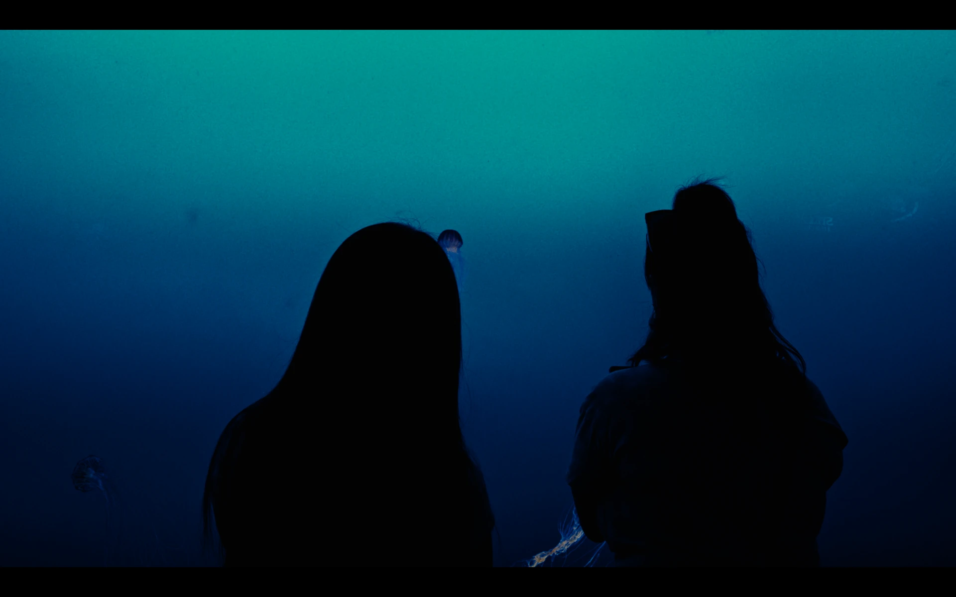 Aquarium.