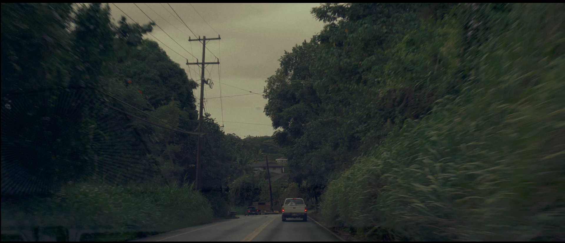 Lush roads.
